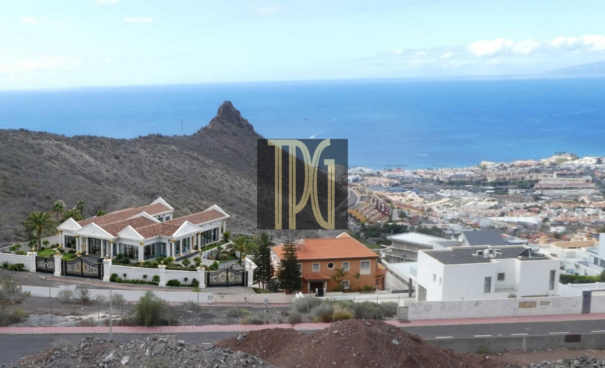 WhatsApp Image 2026-02-20 at 150853 8