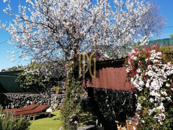 3 Bedroom Finca for sale in Aripe, Guia de Isora