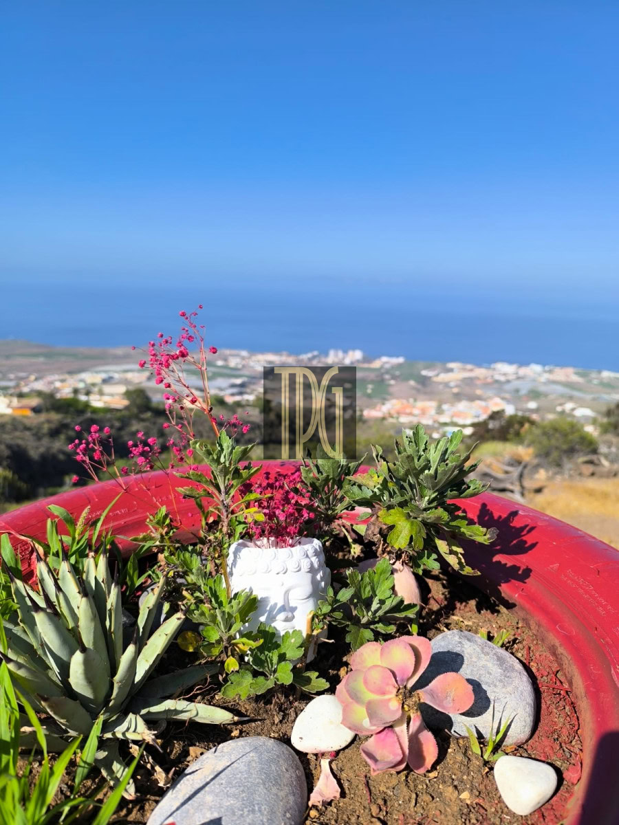 6 Bedroom Finca For Sale with House in Tijoco Bajo Adeje