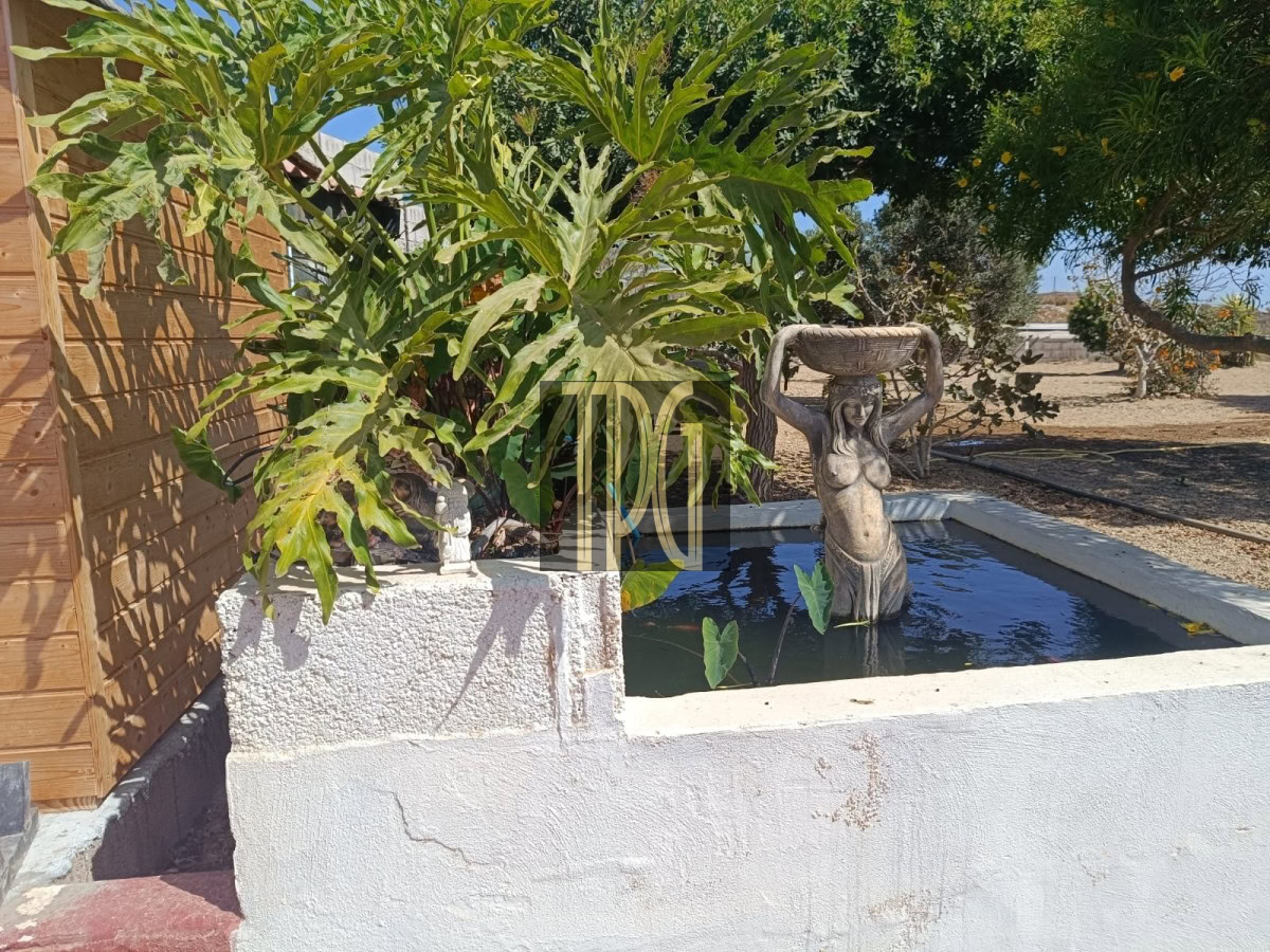 Unknown-24 House with land for sale in Teguedite, Arico