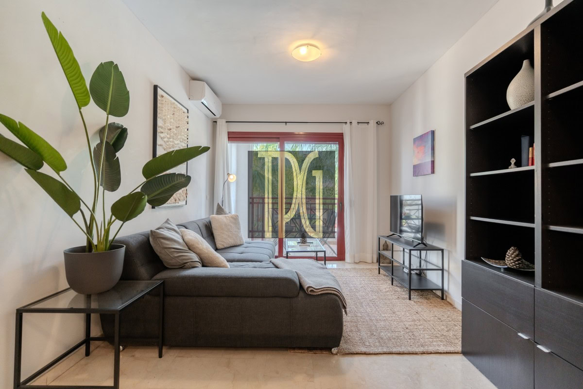 Modern living room with a gray L-shaped sofa, beige cushions, and a large potted plant near a glass balcony door with a red frame.