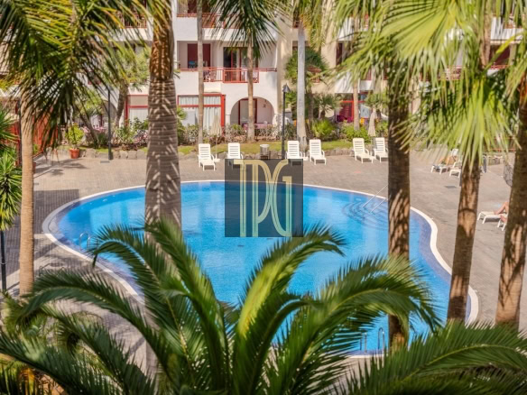 Hotel pool surrounded by palm trees and white lounge chairs, with a two-story building in the background.