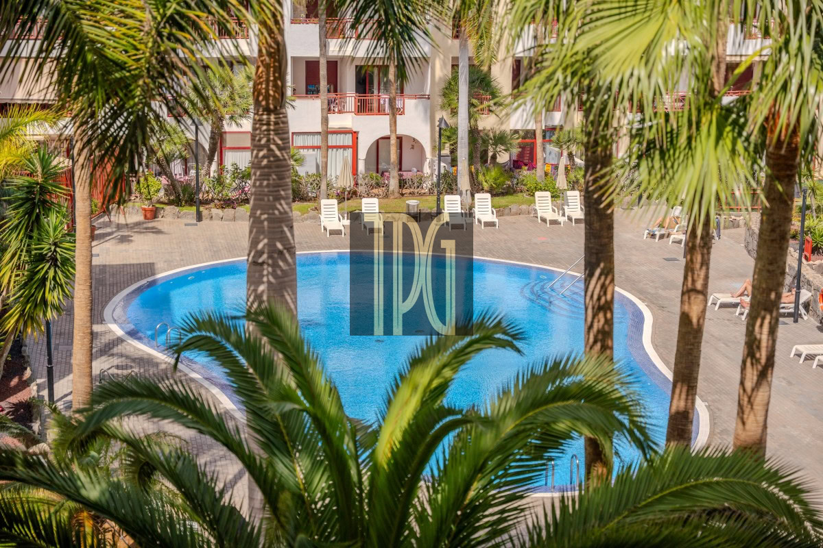 Hotel pool surrounded by palm trees and white lounge chairs, with a two-story building in the background.