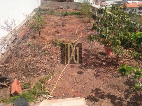 Terraced backyard garden with young trees, a yellow hose, and potted plants, overlooking a valley and mountains to the distance behind a town.