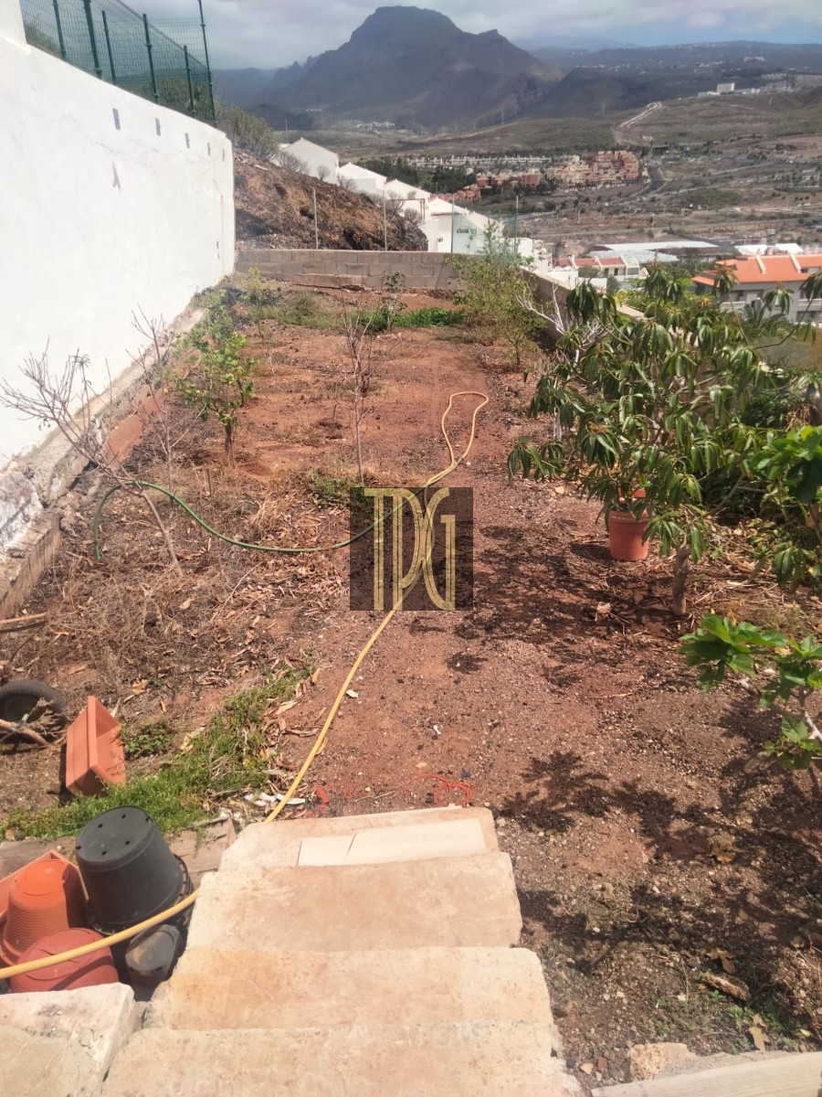 Terraced backyard garden with young trees, a yellow hose, and potted plants, overlooking a valley and mountains to the distance behind a town.
