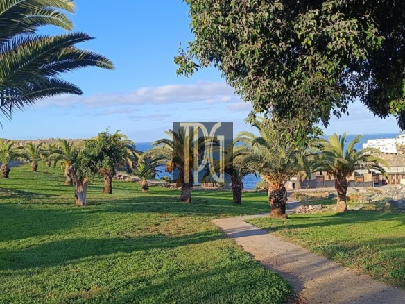 Sunlit coastal park with palm trees, green lawn, and a paved path leading toward the ocean.