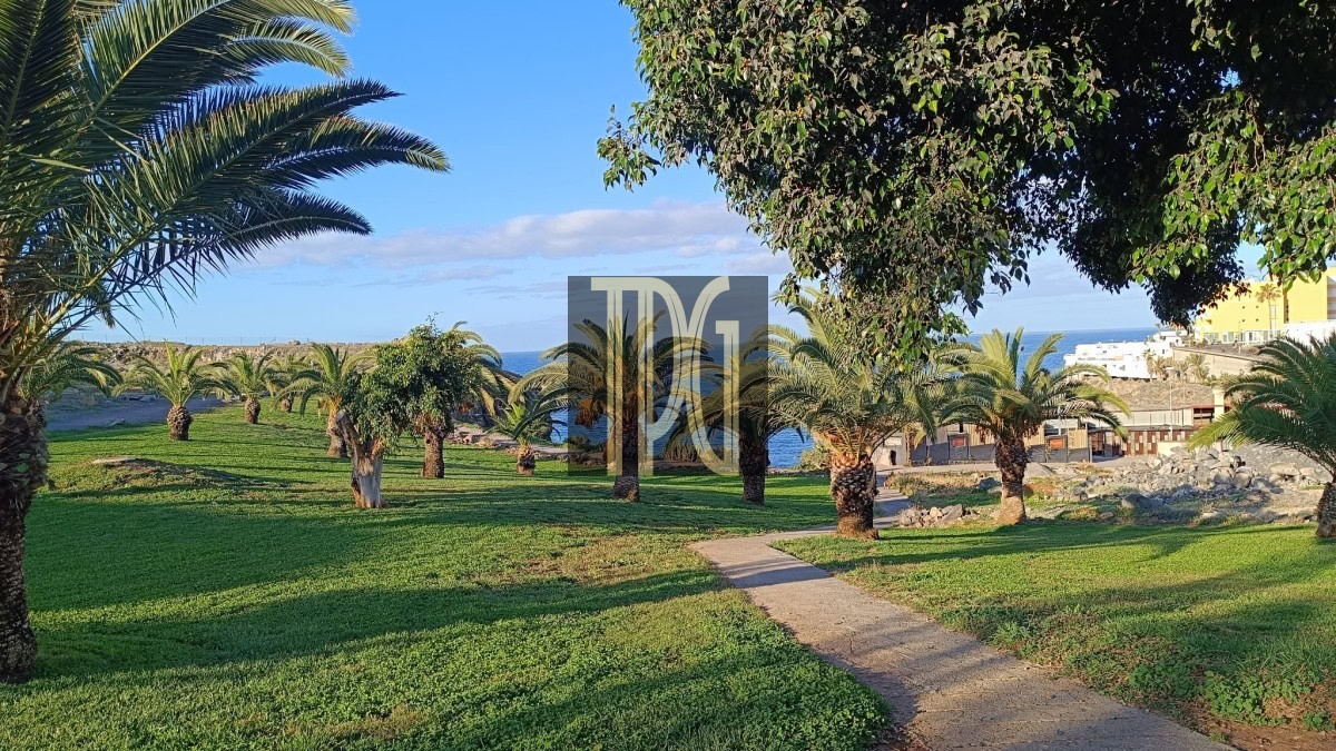 Sunlit coastal park with palm trees, green lawn, and a paved path leading toward the ocean.