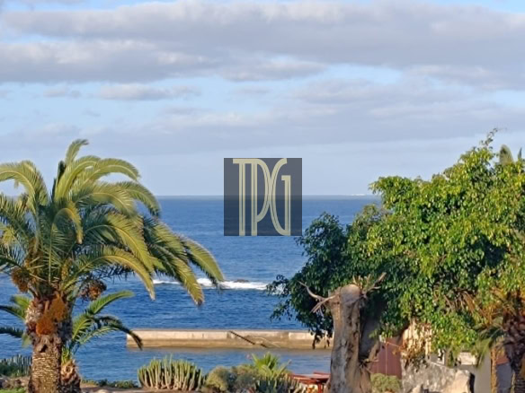 Tropical coastal park with green lawn, palm trees, and the blue sea in the background.
