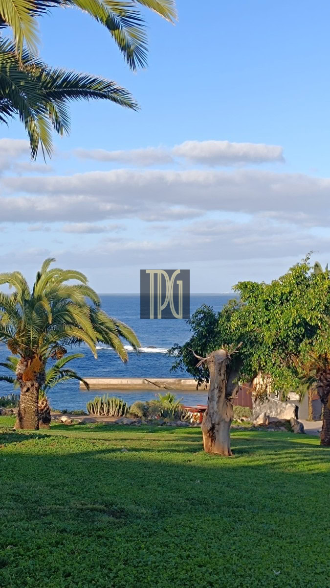 Tropical coastal park with green lawn, palm trees, and the blue sea in the background.