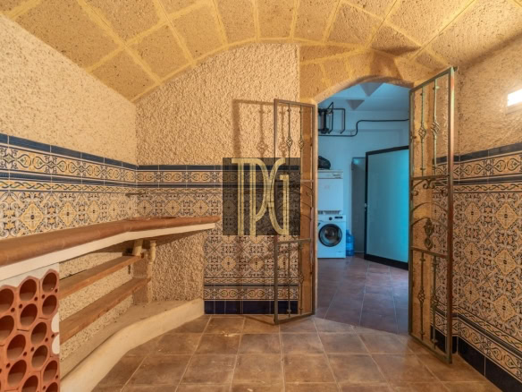 Stone-walled cellar with decorative blue tile border, arched ceiling, and an open metal gate leading to a laundry area with a washing machine in the back.