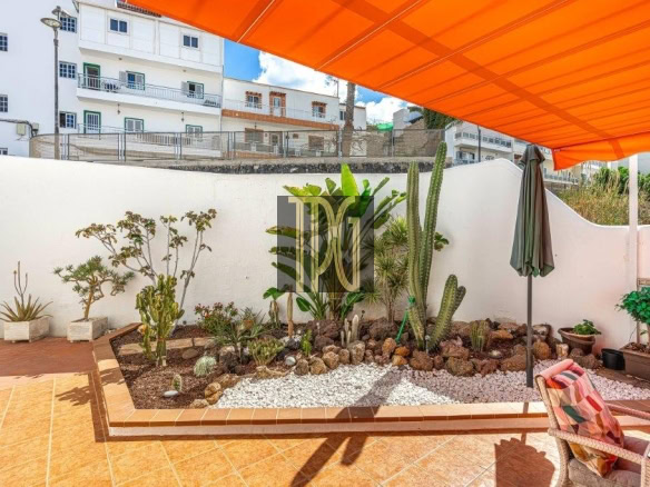 Patio garden with a white wall, various cacti and succulents, and a large orange canopy overhead.