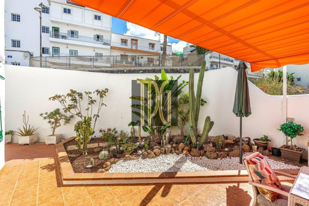 Patio garden with a white wall, various cacti and succulents, and a large orange canopy overhead.