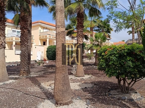 A sunny courtyard with tall palm trees, gravel ground, and beige apartment buildings with balconies in the background; a large cactus on the right and manicured shrubs nearby.