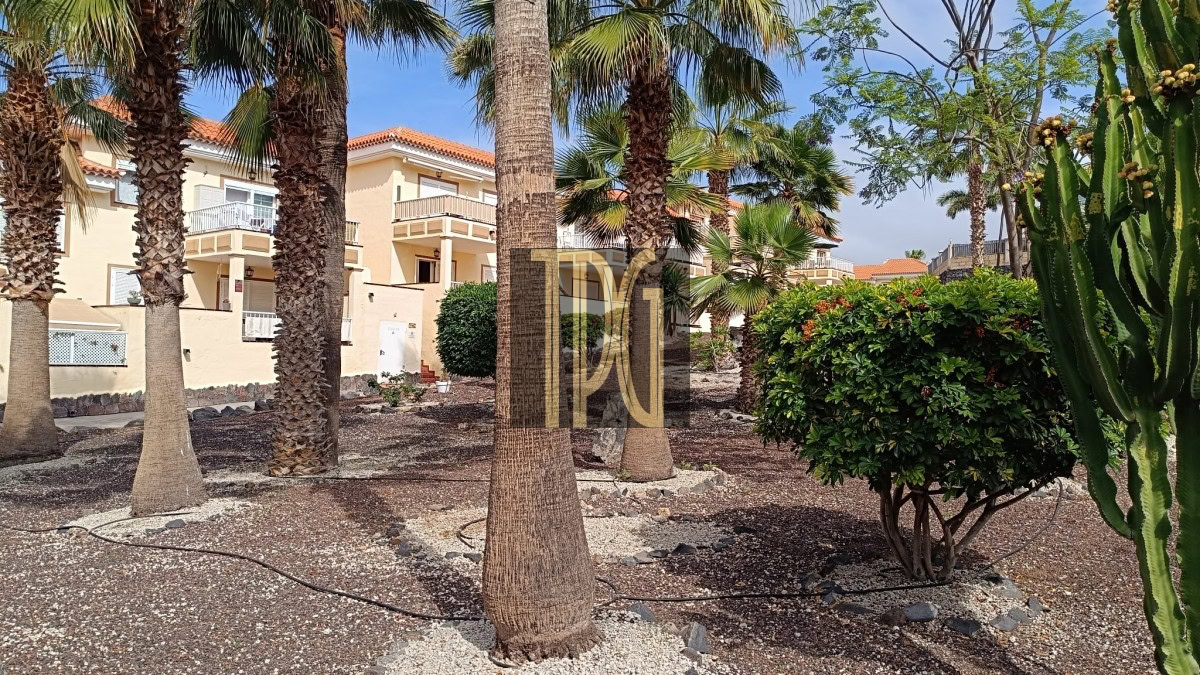A sunny courtyard with tall palm trees, gravel ground, and beige apartment buildings with balconies in the background; a large cactus on the right and manicured shrubs nearby.
