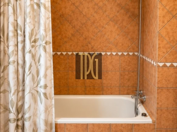 Bathroom with a white tub, orange-brown tiled surround, and a leaf-pattern shower curtain on the left; a dark rug on the floor.