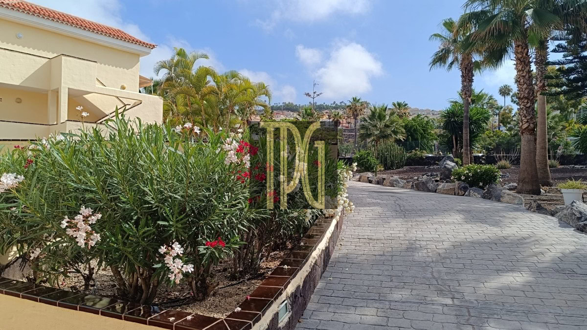 Sunny residential entrance with a stone-paved driveway, palm trees, and a beige house on the left.