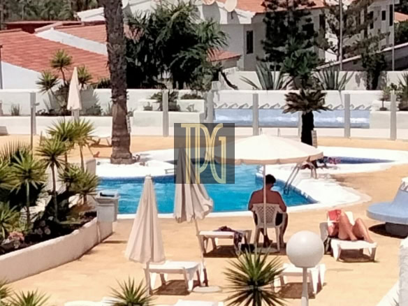 Poolside resort scene with sun loungers, umbrellas, and palm trees around a blue pool