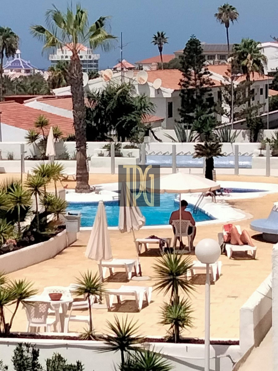 Poolside resort scene with sun loungers, umbrellas, and palm trees around a blue pool