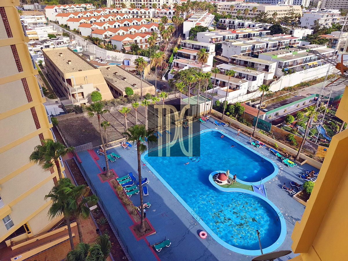 Aerial view of a hotel pool area with a kidney-shaped pool, palm trees, and numerous lounge chairs, surrounded by yellow apartment buildings and a dense neighborhood.