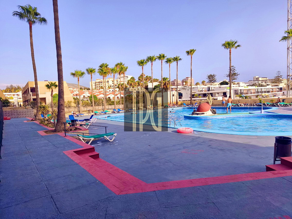 Outdoor hotel pool deck lined with lounge chairs and tall palm trees, with buildings in the background.