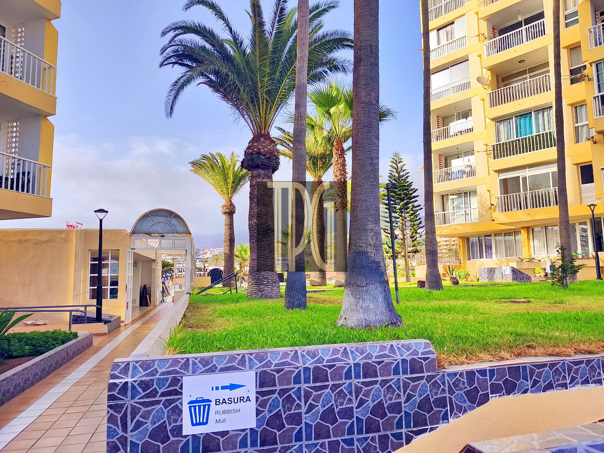 Resort courtyard with tall palm trees, yellow apartment buildings, and a tiled walkway nearby.