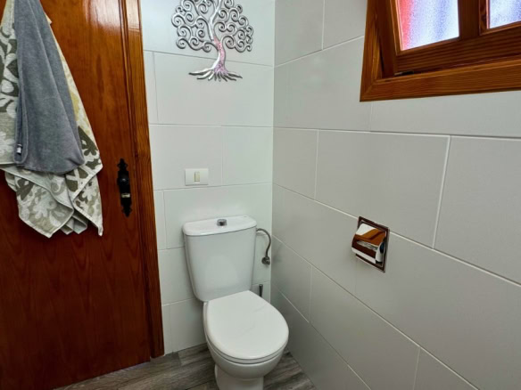 Small bathroom with white toilet near a wooden door; wall art tree and towels hanging on door, frosted window above, and wood-look tile floor.