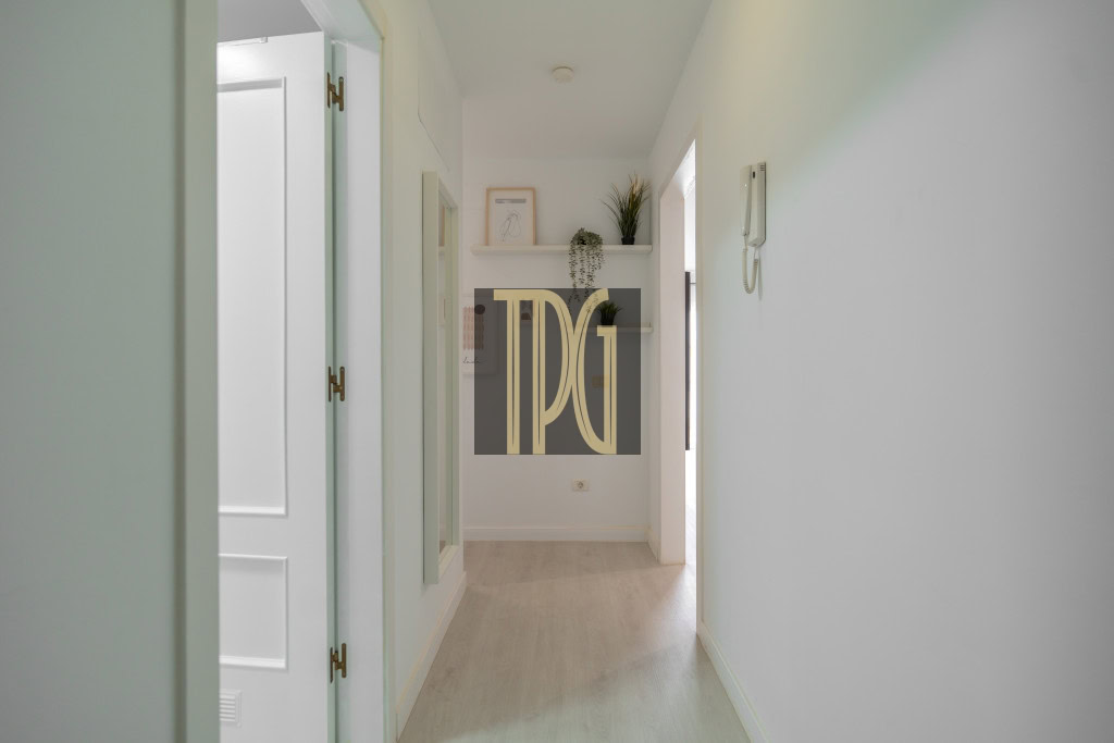 Bright, narrow hallway with pale green walls, white doors, and light wood floor, end table with plants and decor.