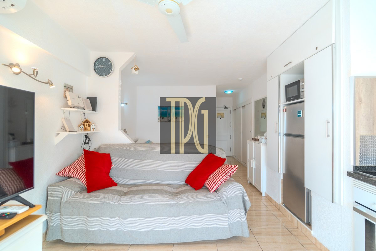 Bright open-plan living space with a gray striped sofa and red cushions, wall clock, TV on a stand, and a compact kitchen with stainless appliances to the right.