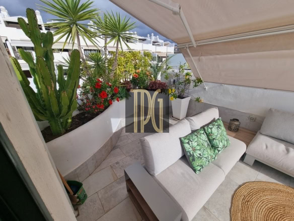 Outdoor terrace with L-shaped gray seating, tropical cushions, and potted cacti and palm plants under a beige canopy.